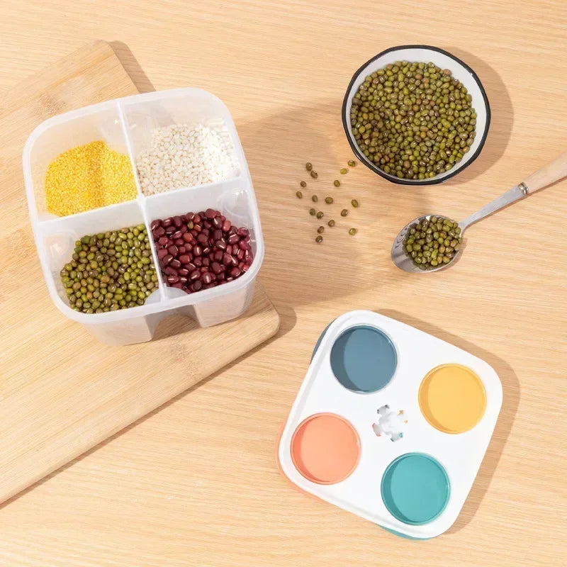 4 Grids Sealed Plastic Storage Container