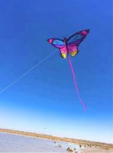 Colorful Inflatable Butterfly Kite