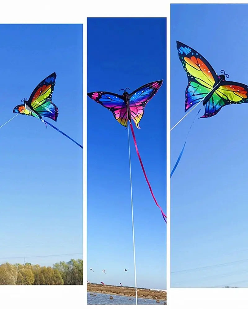 Colorful Inflatable Butterfly Kite