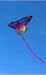 Colorful Inflatable Butterfly Kite