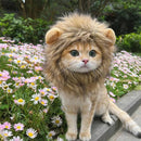 Cute Lion Mane wig for your cat.