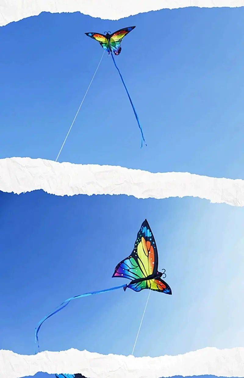Colorful Inflatable Butterfly Kite