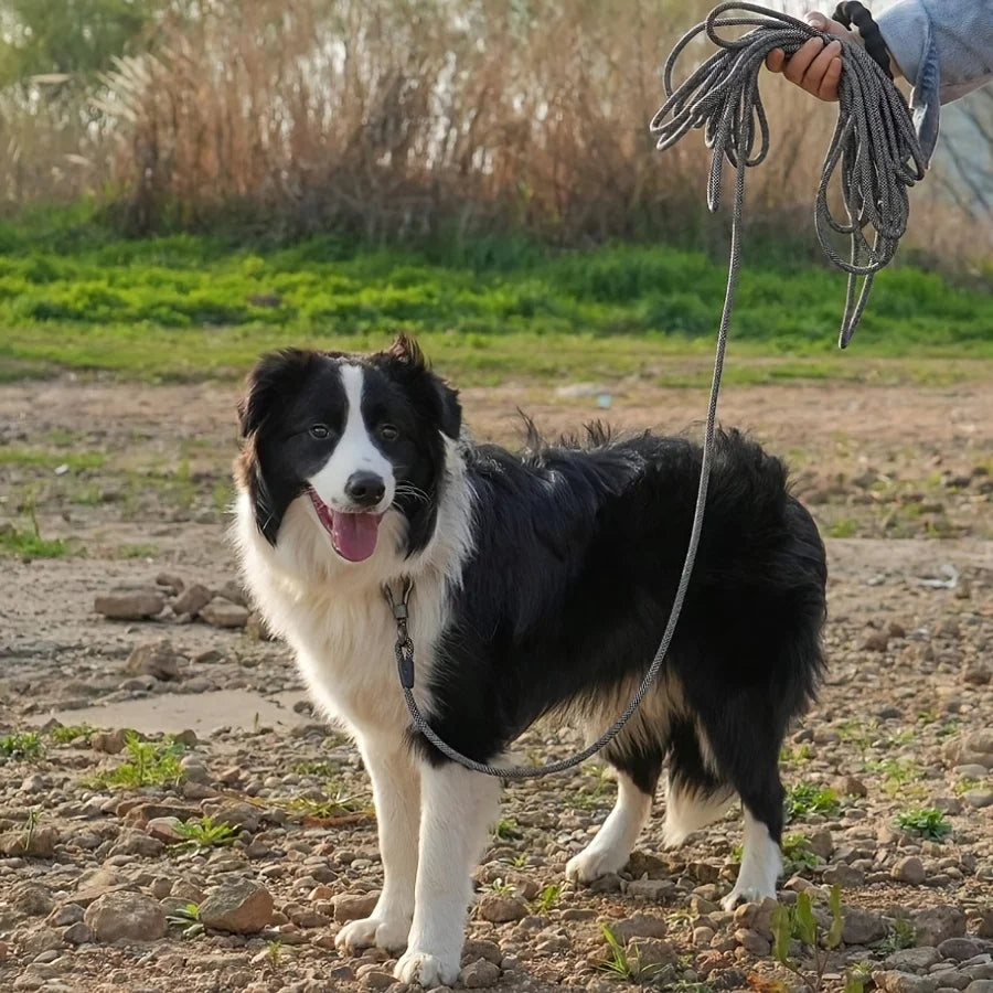 Heavy Duty Durable Rope Leash With Soft Handle for Small, Medium Pets