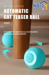 Electronic Interactive Cat Toy