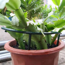 2/4PCS Plastic Semicircle Plant Vine Support.