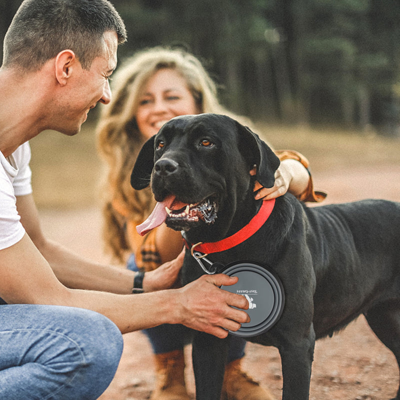 350ML/1000ML Collapsible Dog Bowls for Travel.