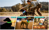 Led/USB Luminous PVC Waterproof Collar For Large Medium Or Small Pets