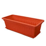 1 Plastic Rectangular Vegetable Planter