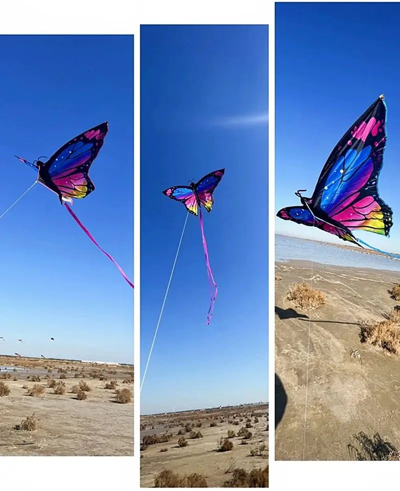 Colorful Inflatable Butterfly Kite