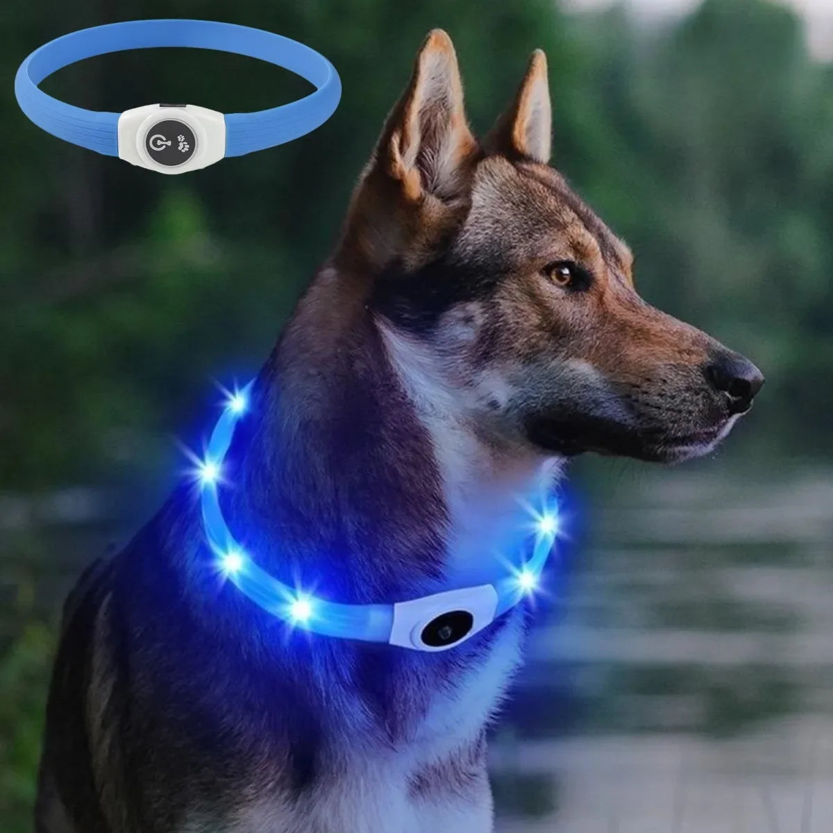 Led/USB Luminous PVC Waterproof Collar For Large Medium Or Small Pets