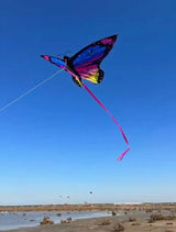 Colorful Inflatable Butterfly Kite