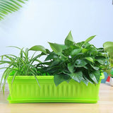 1 Plastic Rectangular Vegetable Planter