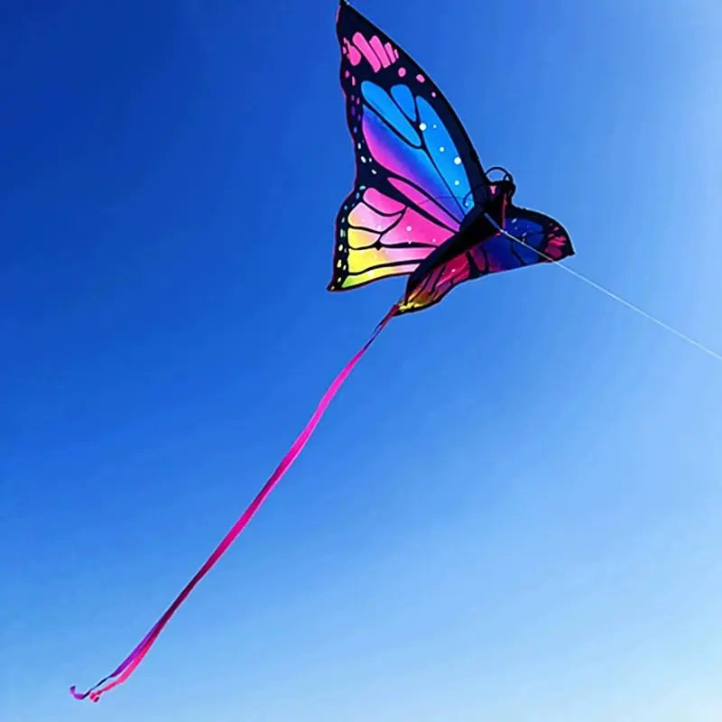 Colorful Inflatable Butterfly Kite