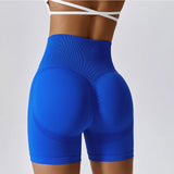 Women's High Waist Gym Shorts