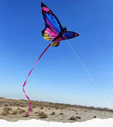 Colorful Inflatable Butterfly Kite