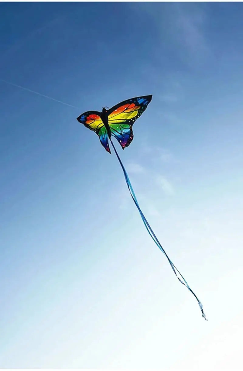 Colorful Inflatable Butterfly Kite