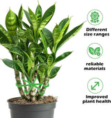 Plastic Plant Stem Support Stakes