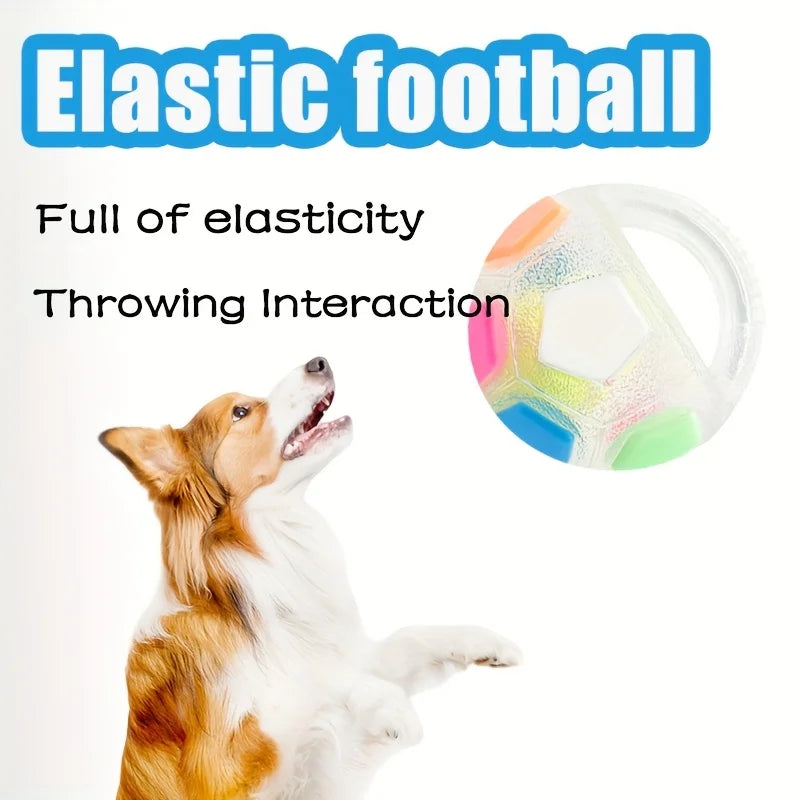 Pet's Soccer Ball With Carrying Handle For Throwing