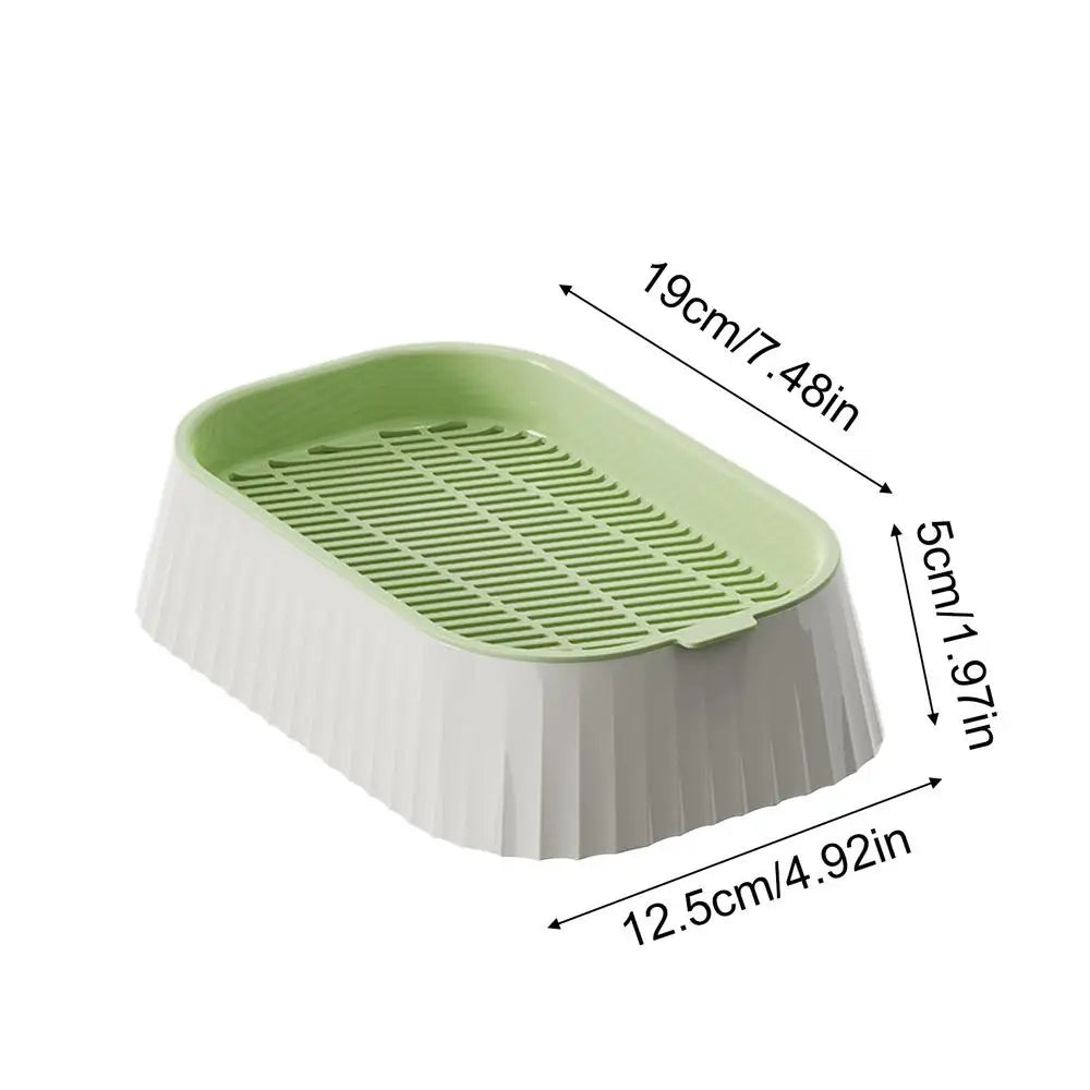 Hydroponic Cat Grass Planter