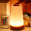RGB Remote Control Touch Dimmable Lamp with13 Color Changing Night Light. USB rechargeable.