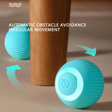 Electronic Interactive Cat Toy