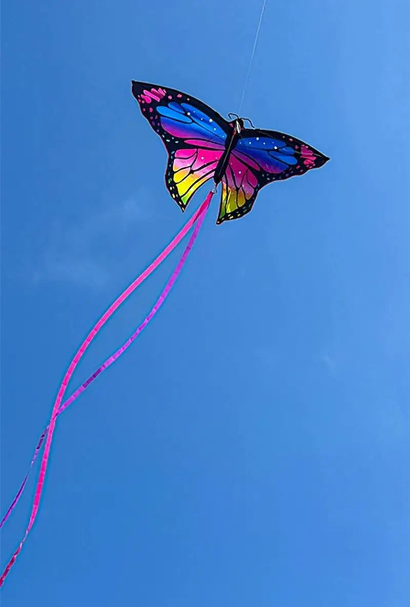 Colorful Inflatable Butterfly Kite