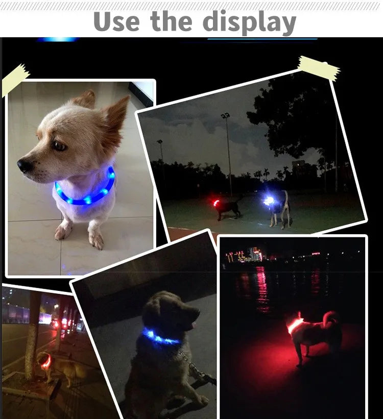 Led/USB Luminous PVC Waterproof Collar For Large Medium Or Small Pets