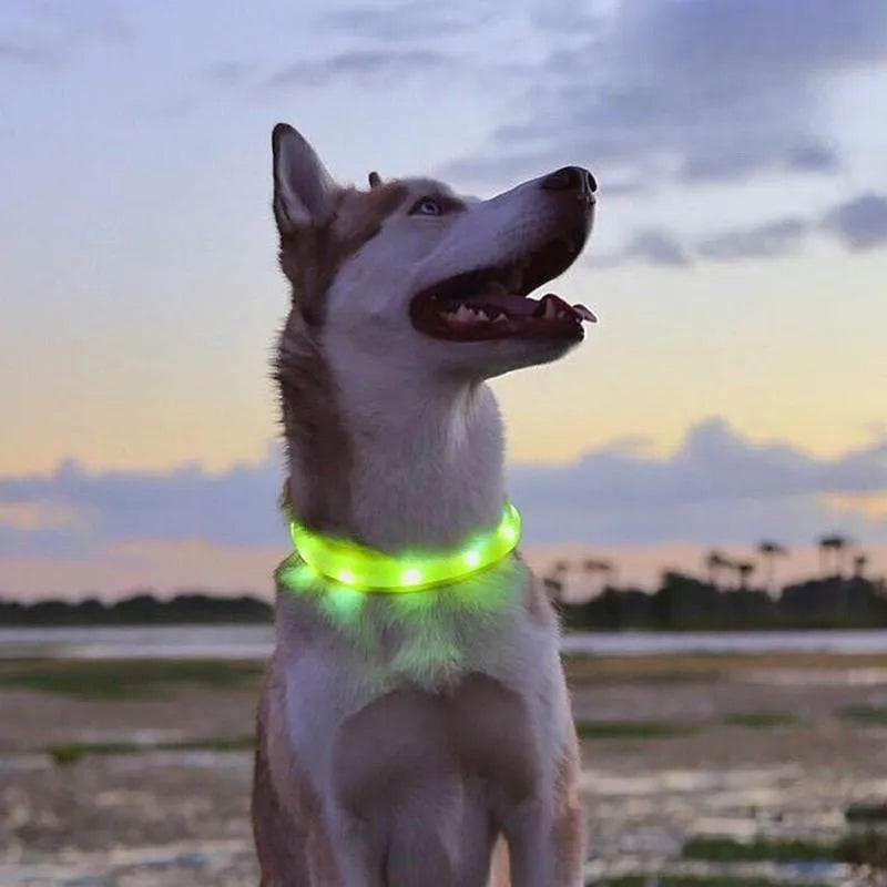 Led/USB Luminous PVC Waterproof Collar For Large Medium Or Small Pets