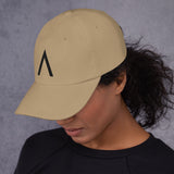 STEALTH Dad hat