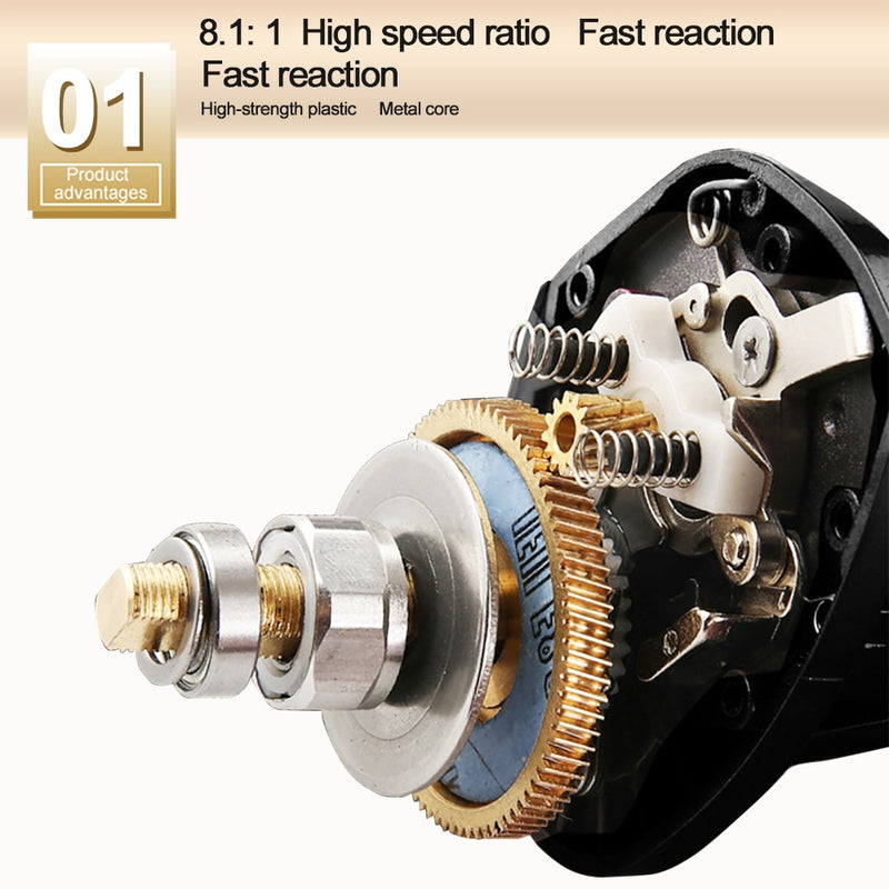 Baitcasting Reel High Speed 8:1:1 Gear Ratio 17+1BB Fresh Saltwater Magnetic Brake System Ultralight Fishing Reel 2000 Seri