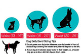 Durable Washable Male Dog Diaper Wraps