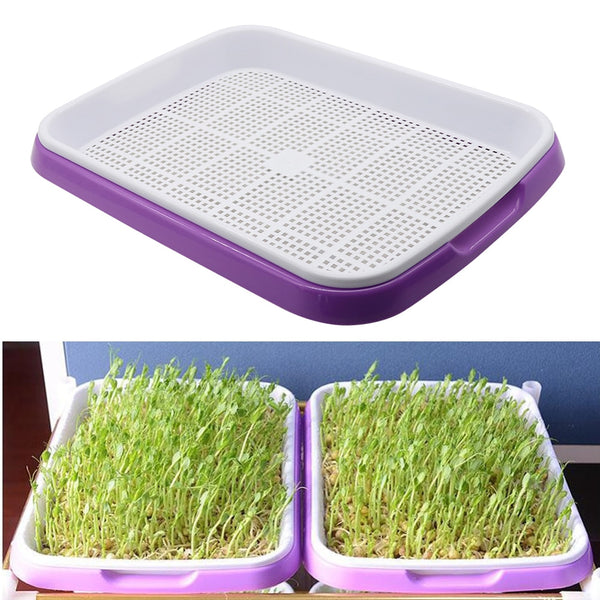 Double Layer Hydroponic Seedling Tray.  Great for Starting Off Seeds for Vegetables .