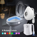 Decorative waterproof toilet light.  Motion sensor, battery operated.