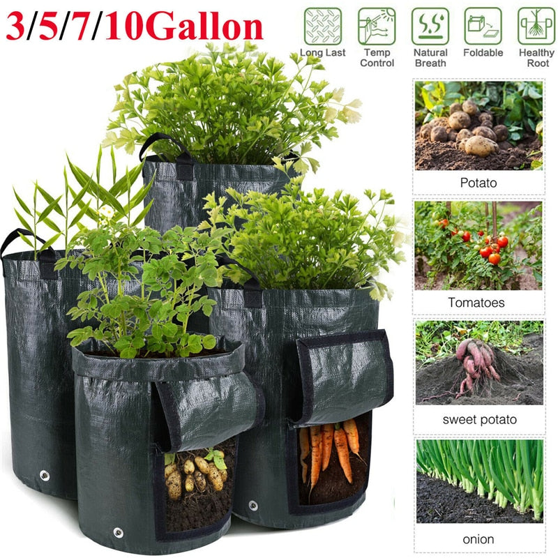 Bag Grow Container Sack