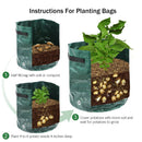 Bag Grow Container Sack