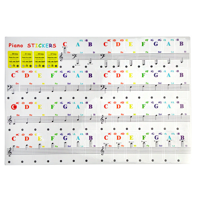 49/54/61/88 color Transparent Piano Keyboard Stickers for White Keys