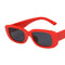 Small Rectangle Sunglasses