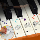 49/54/61/88 color Transparent Piano Keyboard Stickers for White Keys