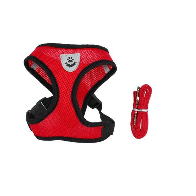 Cat/Dog Adjustable Pet Harness